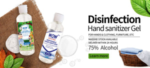 Hand Sanitizer (60ml) Gel